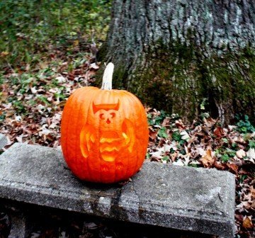 Luminary Walk - Pumpkin